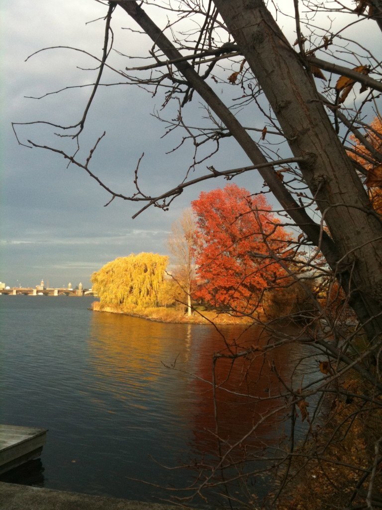 Fall along the Charles River Esplanade