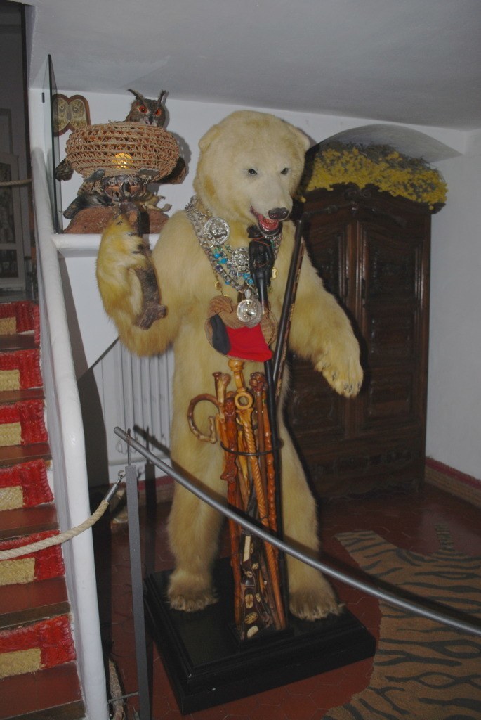 Stuffed polar bear in Dali's home in port LLigat