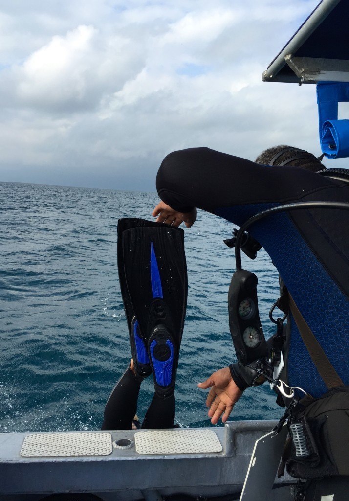 diving off a boat to scuba