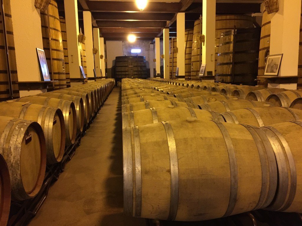 Oak barrels being used to age port.