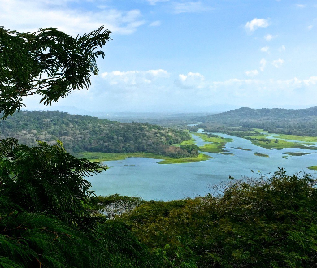 The view from the tower at the top of the aerial tram at Gambon Rainforest Preserve is beautiful and overlooks Gatun Lake
