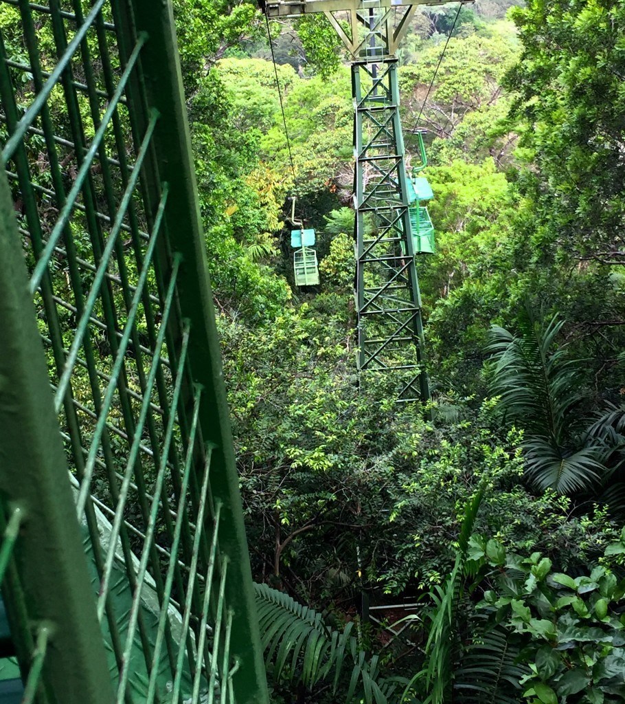 Gamboa Rainforest Preserve offers visitor an aerial tram ride over the canopy of the rainforest