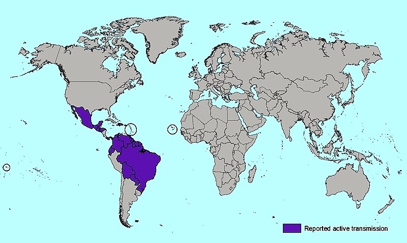 This global map shows the regions where the Zika virus has been reported. Avoid them.