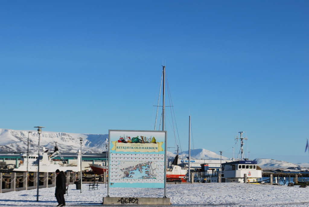 Random picture taken down by the harbor in Reykjavik - the whole point is to show you the blue skies in winter!