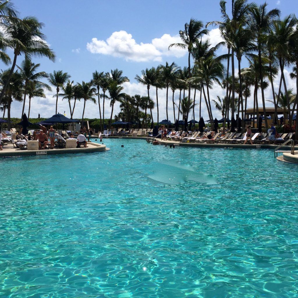 One of the pools at the Marriott Harbor Beach Resort and Spa