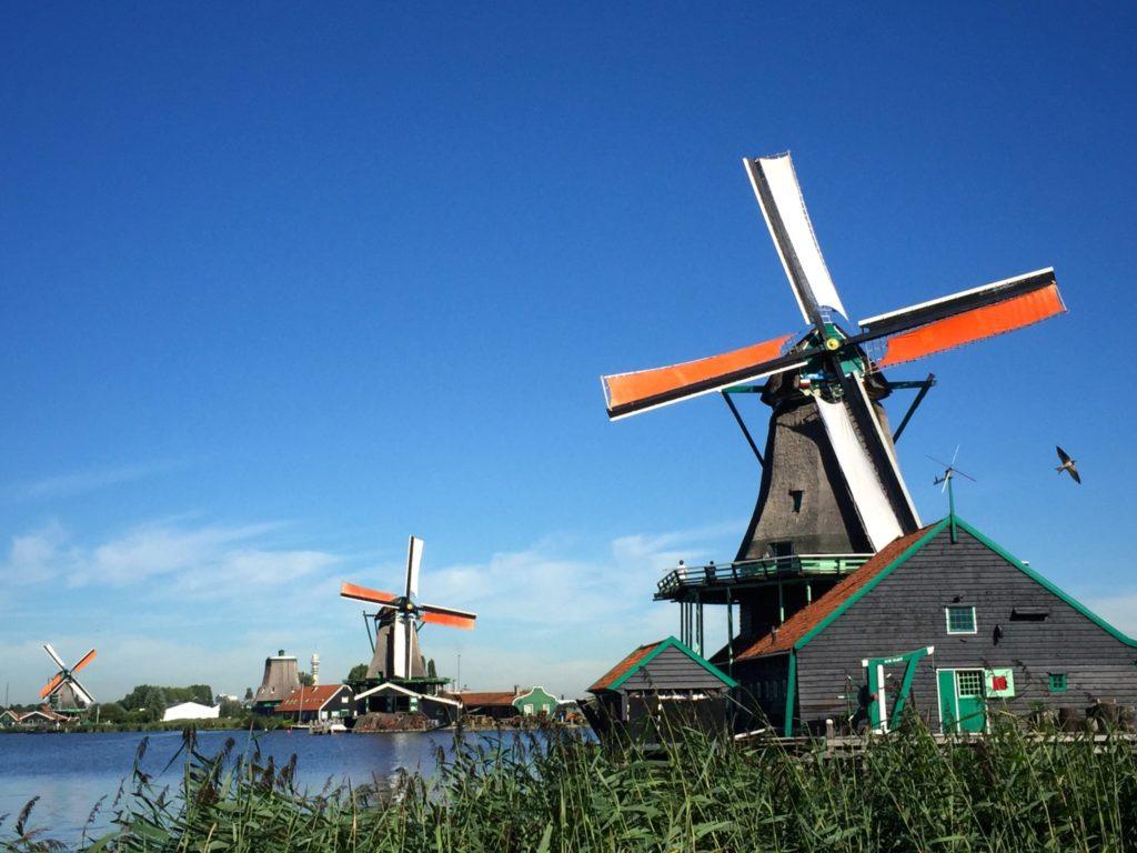 The Charms of Holland with City Discovery Tours