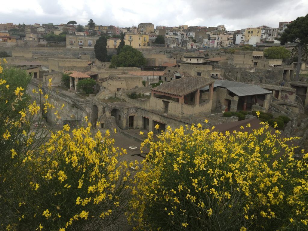 Go Ahead Tours Puglia review - Herculaneum