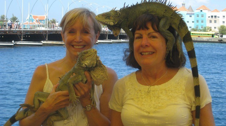 Is that an iguana on your head or are you just happy to see me?