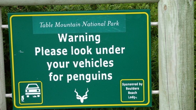 Beware lurking penguins
