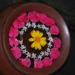 Flower petals in bowl in Bali