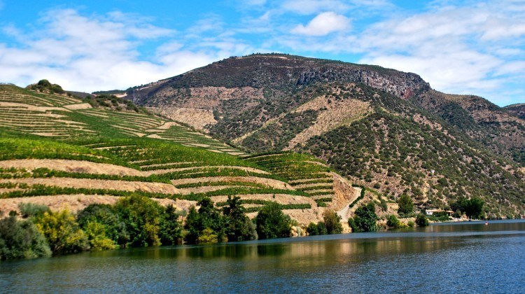 5 Interesting Facts About the Douro River Valley in Portugal